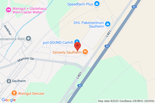 Back to Active Hundephysiotherapie