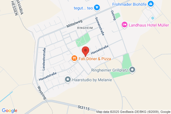 Pizza Service Ringheim