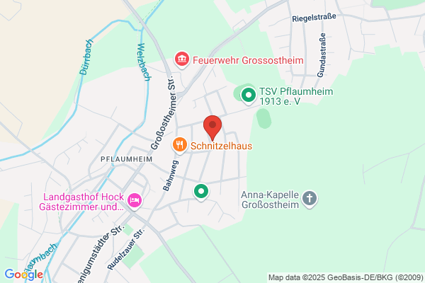 Rüdiger Englert