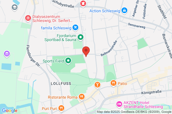 Kreismusikschule Schleswig-Flensburg
