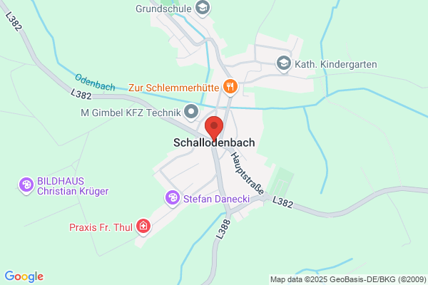 Schaepan
