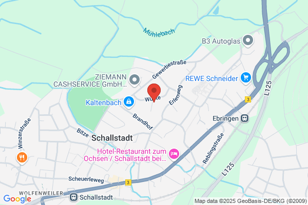 Polizeiposten Schallstadt
