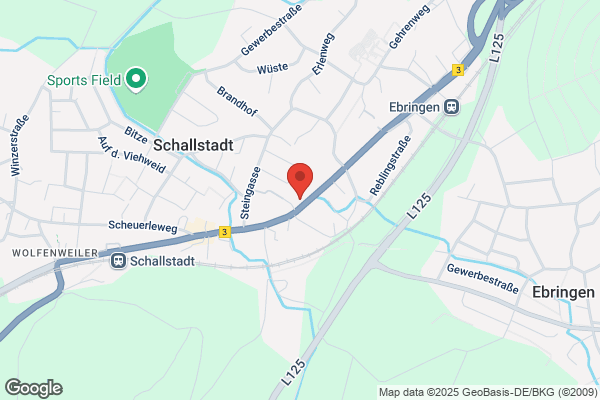 Schwarzer Ritter