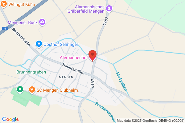 Alemannen-Reisen GmbH