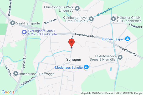 Schapen