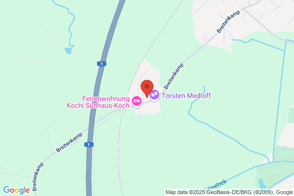 Mona u. die falschen 50er