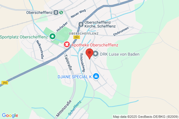 Denzler Maler u. Gipser GmbH