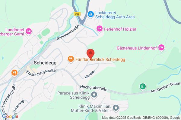 MESI Ltd.Management + Engineer Service International Repräsentanz Deutschland