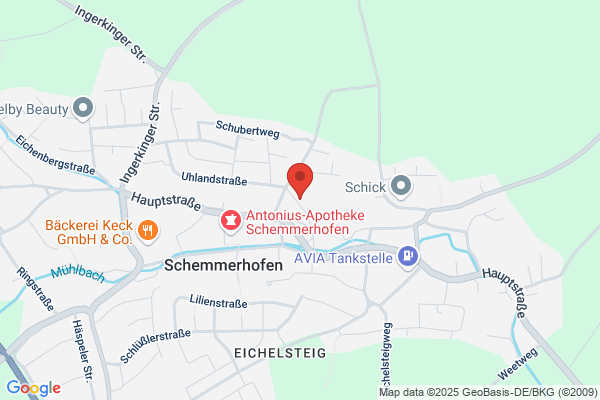 Narrenzunft Schemmerhofen e.V.