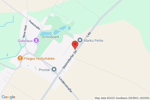 Viola Urbanek