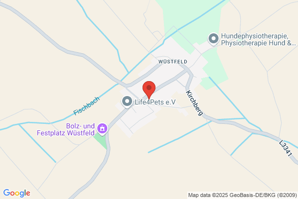 GEOS- Stadtplanung