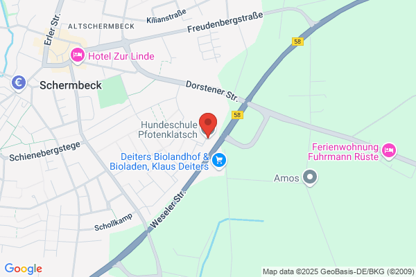 Hundeschule Pfotenklatsch