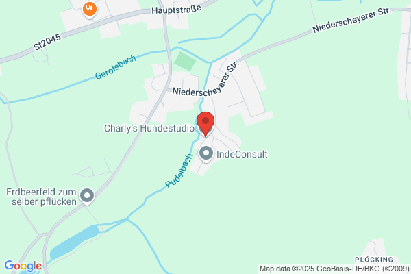 Charly's Hundestudio