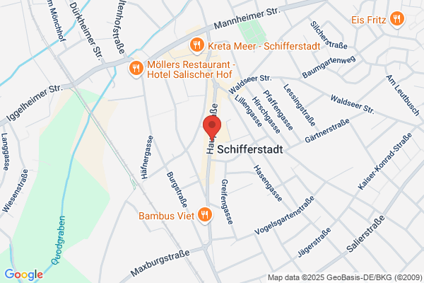 Dachdecker service