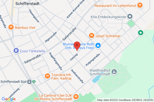 Neudek