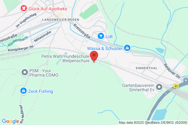 Petra Wahl Hundeschule - Welpenschule