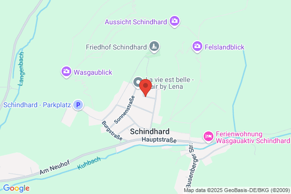 SWPtronik