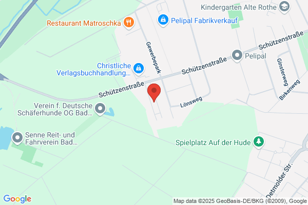 Jehovas Zeugen