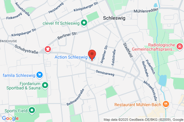 Action Schleswig