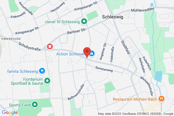 Kreisjugendring Schleswig-Flensburg