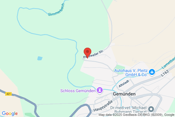Evangelische Kirchengemeinde Gemünden