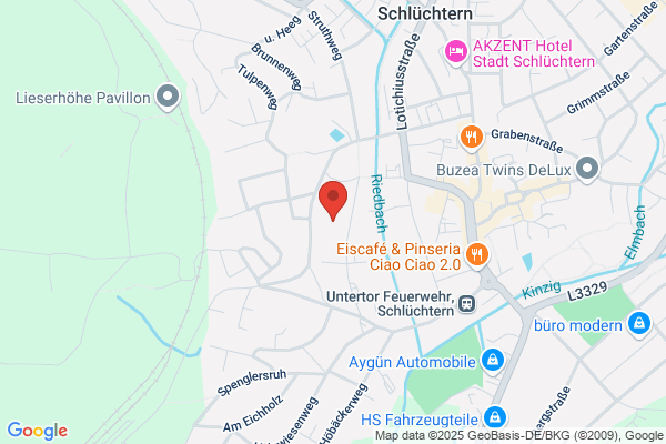 Kinzig-Schule Berufliches