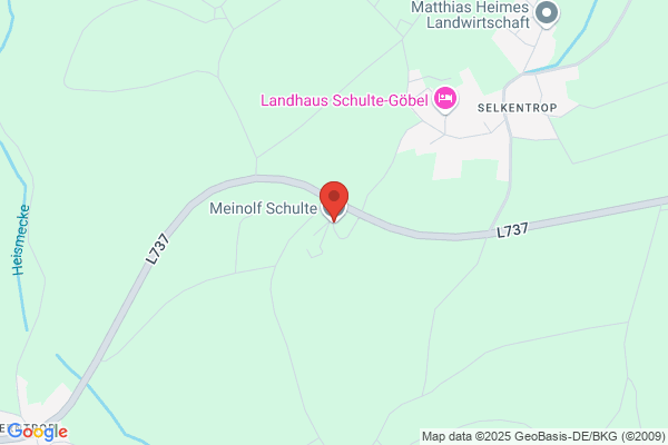 Meinolf Schulte