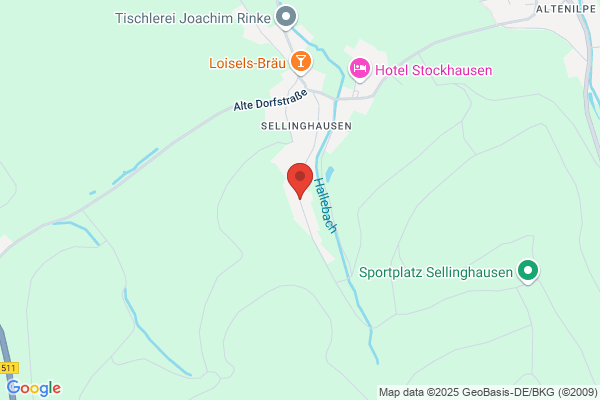 Lisa Dümpelmann