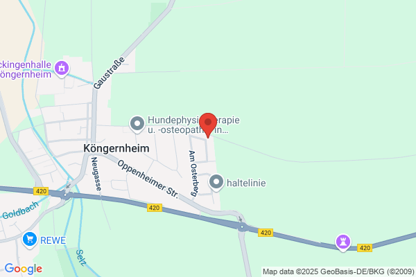 Pro Consult & Marketing GmbH