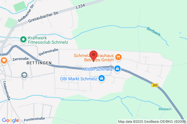 basis GmbH