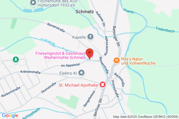Rechtsanwältin Nora Anne Eisenlauer