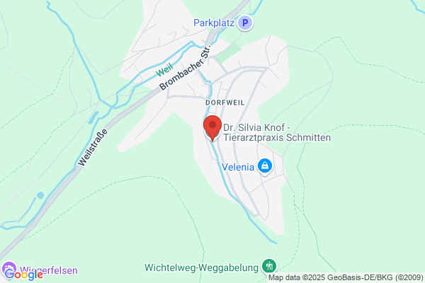 Neuenfeldt