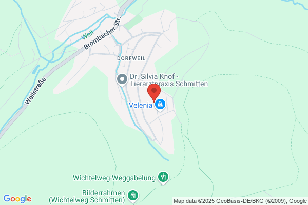 Revierförsterei Hessen-Forst Brombach