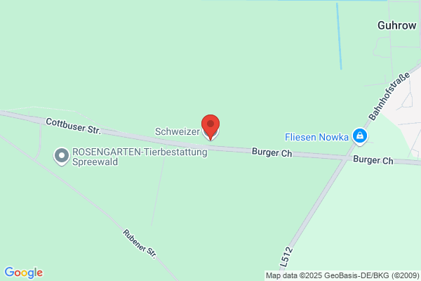 Schweizer GmbH