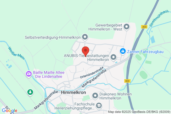Scheibentönung Schick
