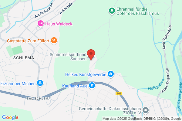 Schimmelspürhund Sachsen