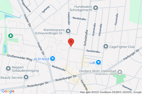 Ing.grad. Werner Renken