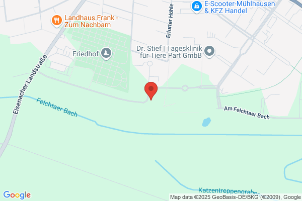 Hundepension DaisyTown