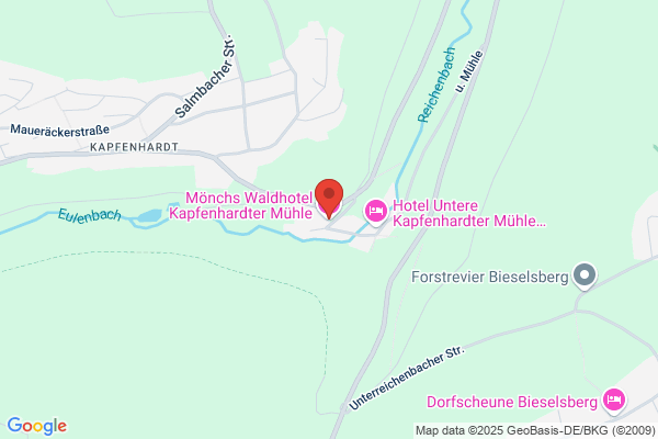 Ringhotel Mönch's Waldhotel Kapfenhardter Mühle
