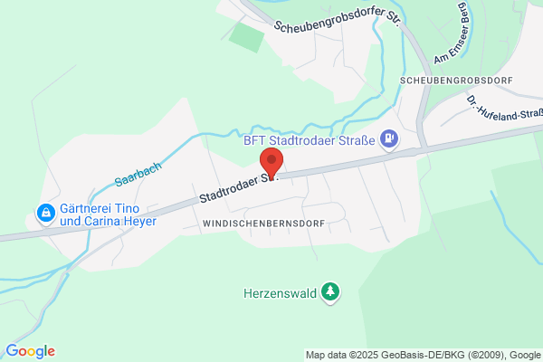 Kaminbau Fliesenverlegung Sven Ortlepp
