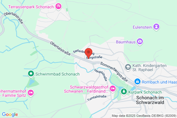 ACE Stoßdämpfer GmbH