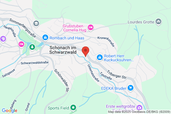 DFL-Technik GmbH