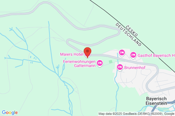 Hotel Maier