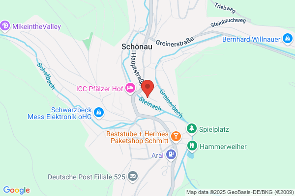 Freiwillige Feuerwehr Stadt Schönau