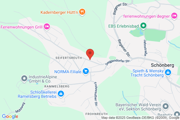 Tankstelle Edwin Plescher