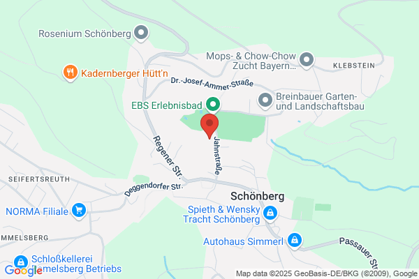 Schützenverein Waldeslust e.V.
