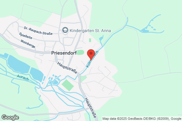 Ergotherapie Priesendorf Inh. Theresa Bräuter