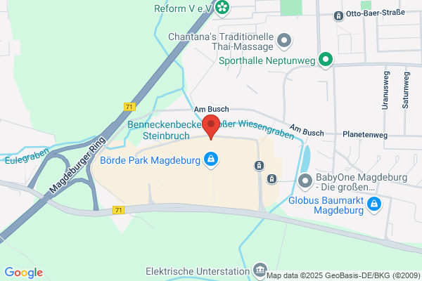Schnittblumen & Topfpflanzen Handels GmbH Floristik 99