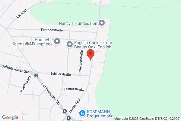 Watt Deutschland GmbH Vertriebsbüro
