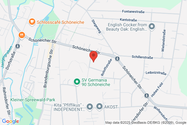 Harry Diepold